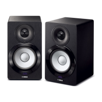 Preview: Yamaha NX-N500