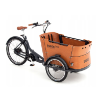 Preview: Babboe Curve