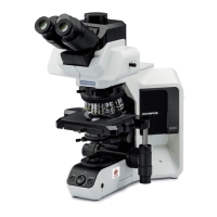 Preview: Olympus BX46