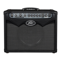 Preview: Peavey VYPYR 15