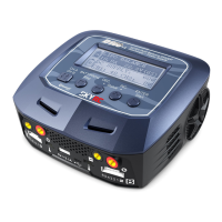 Preview: Skyrc D100