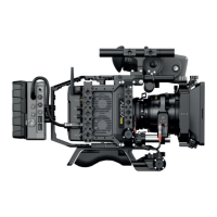 Preview: ARRI ALEXA Mini