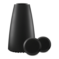 Preview: B&O Play BeoPlay S8