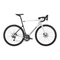 Preview: Cannondale SuperSix EVO