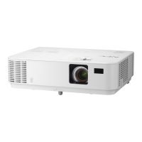Preview: NEC VE303
