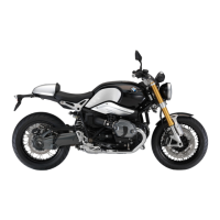 Preview: BMW R nineT