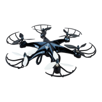 Preview: sky rider eagle pro series