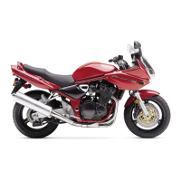 Preview: Suzuki GSF1200S 2001