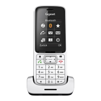 Preview: Gigaset SL450