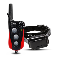 Preview: Dogtra IQ PLUS+