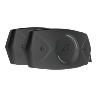 Preview: Shark SharkTooth