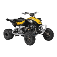 Preview: Can-Am DS 450 Series