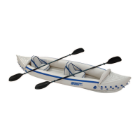 Preview: Sea Eagle Boats SE-330