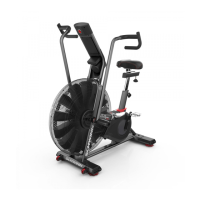 Preview: Schwinn AirDyne Pro