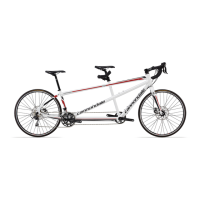 Preview: Cannondale TANDEM