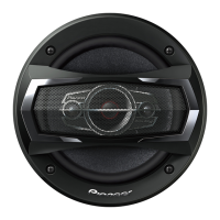 Preview: Pioneer TS-A1685R