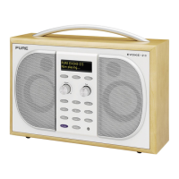 Preview: PURE EVOKE-2S