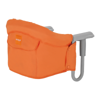 Preview: Inglesina fast