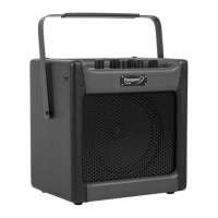 Preview: Fender Passport mini