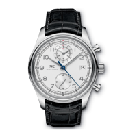 Preview: iwc Ingenieur