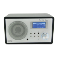 Preview: Livio Radio Pandora
