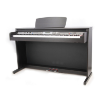 Preview: thomann DP-30