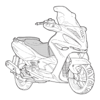 Preview: Malaguti MADISON 125