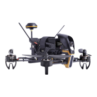 Preview: Walkera F210