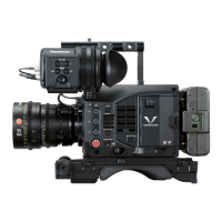 Preview: Panasonic VARICAM LT