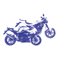 Preview: HYOSUNG GT250 REi