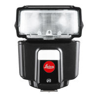 Preview: Leica SF 40