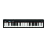 Preview: Roland fp-30