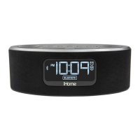 Preview: iHome iBT31