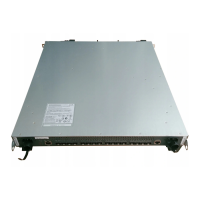 Preview: NetApp CN1610