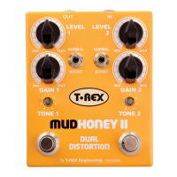 Preview: T-Rex Mudhoney II