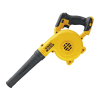 Preview: DeWalt DCV100