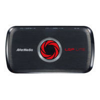 Preview: Avermedia lgp lite gl310