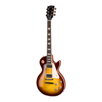 Preview: Gibson USA