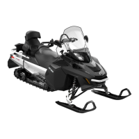Preview: Ski-Doo Expedition LE