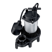 Preview: Flotec FPZS25T