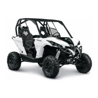 Preview: Can-Am Maverick