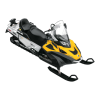 Preview: Ski-Doo Skandic WT