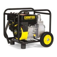 Preview: Champion Power Equipment 66520