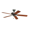 Fan Logo