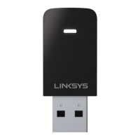 Preview: Linksys WUSB6100M