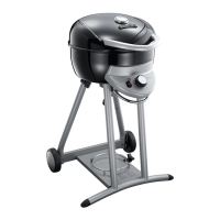 Preview: Char-Broil PATIO BISTRO 240