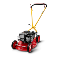 Preview: KLIPPO Triumph