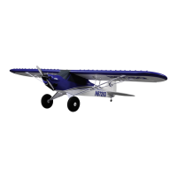 Preview: E-FLITE Carbon-Z Cub