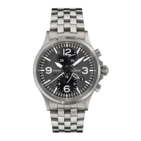 Preview: Sinn 756