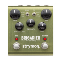 Preview: Strymon brigadier